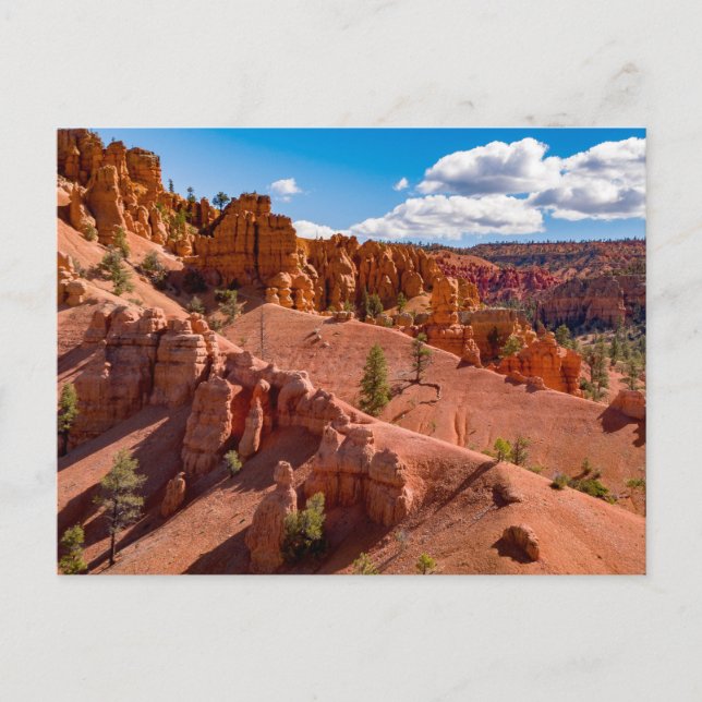 Dixie National Forest Landscape Foto Postkarte (Vorderseite)