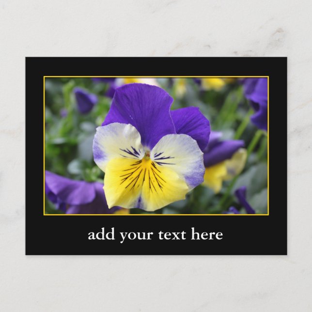 DIY, Create your own, add your image or text. Postkarte (Vorderseite)