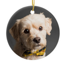 DIY Custom Foto Weihnachten