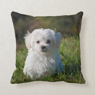 DIY - Drucken auf einem PILLOW - Hinzufügen von B Kissen