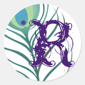 DIY Elegant Peacock Feather Runder Aufkleber