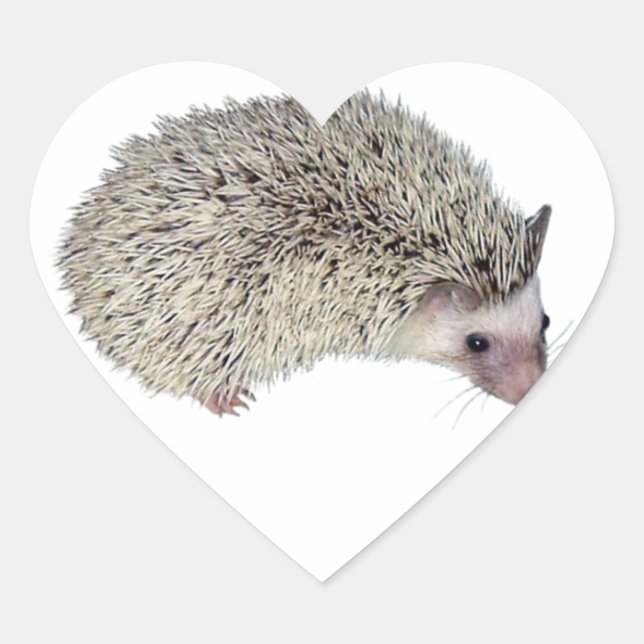 DIY Igel rechts Herz-Aufkleber (Vorderseite)