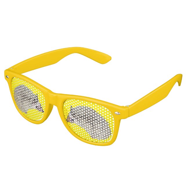 DIY-Igel-Schattierungen 2 Partybrille (Schrägansicht)