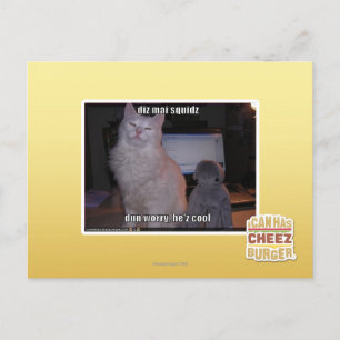 Diz mai squidz postkarte