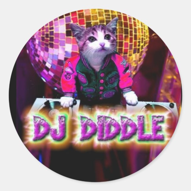 DJ DIDDLE STICKER (Vorderseite)