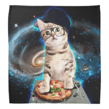 DJ-Katze - Raumkatze - Katzenpizza - niedliche