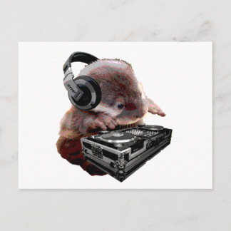 DJ None Otter Postkarte