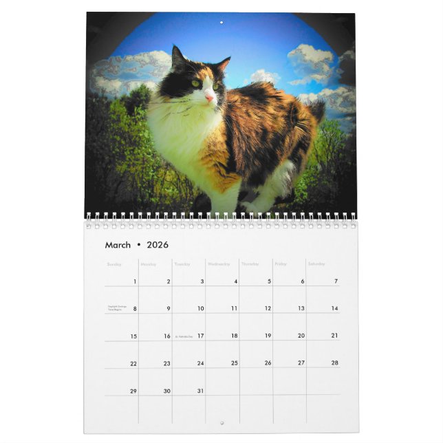 DJ's Artisticats von Djoneill Kalender (Mär 2026)
