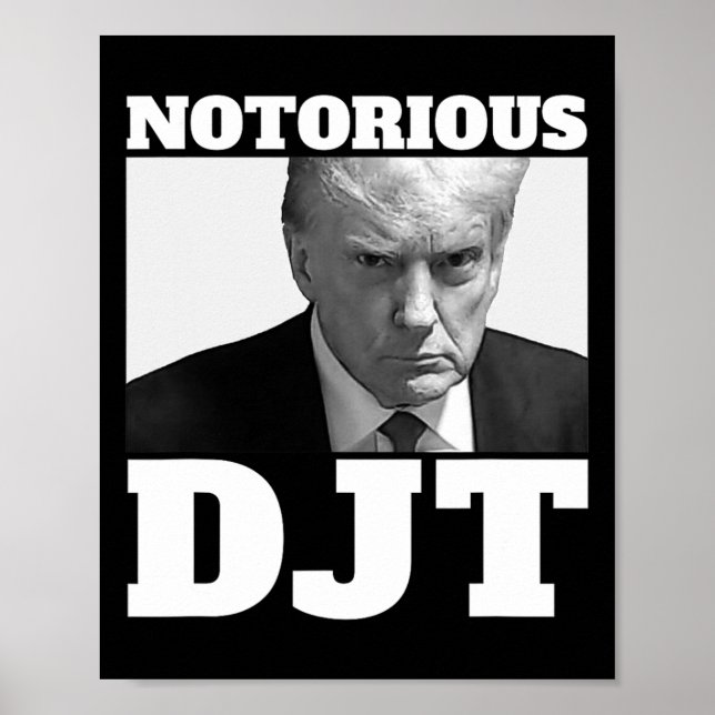 Djt Präsident Trump 2024 Trump Mugshot Poster (Vorne)