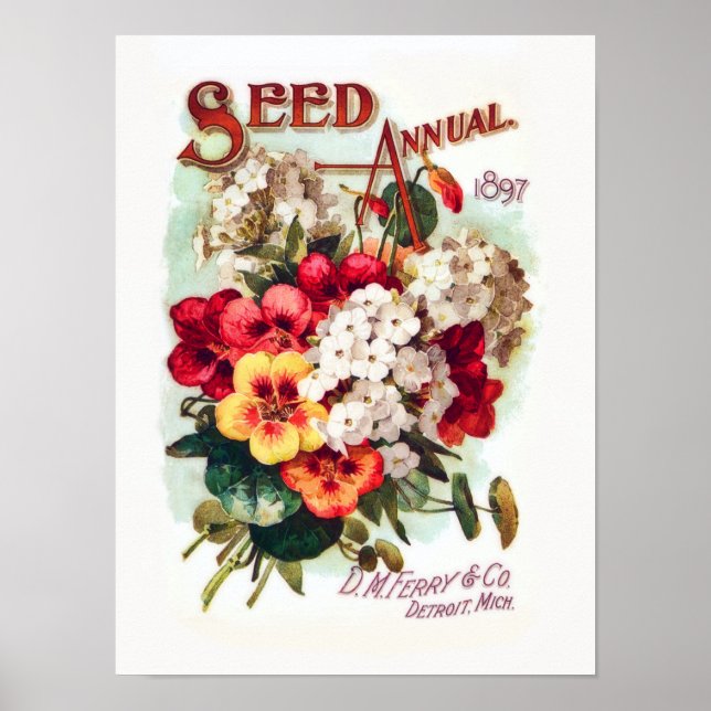 DM Blume Saatgut Vintage Werbung Poster (Vorne)