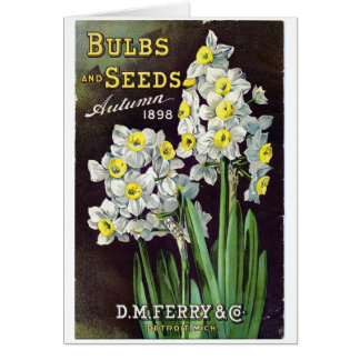 DM Ferry Seeds and Bulbs 1898