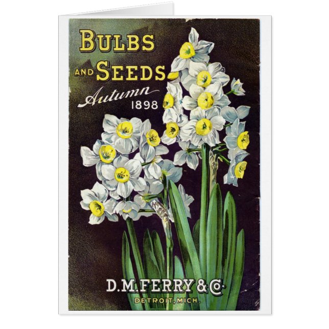 DM Ferry Seeds and Bulbs 1898 (Devant)