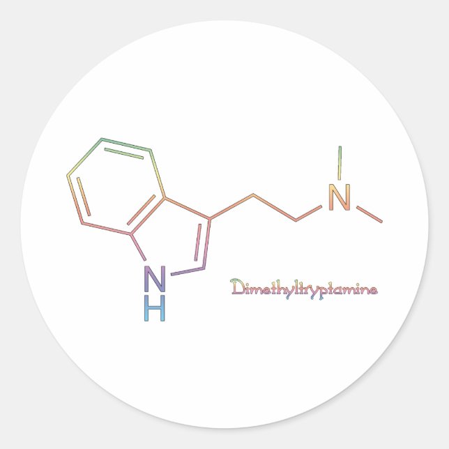 DMT Rainbow Runder Aufkleber (Vorderseite)