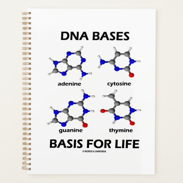 DNA-Basen für lebensmolekulare Struktur Planer (Vorderseite)
