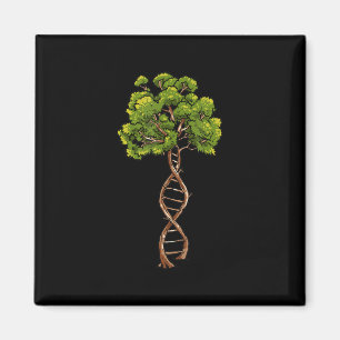 DNA Baum Biowissenschaften Genetik Biologie Umwelt Magnet