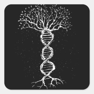 DNA-Baum Quadratischer Aufkleber