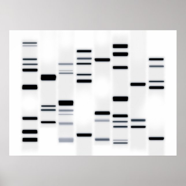DNA-Code Schwarz auf Weiß Poster (Vorne)