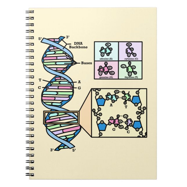 DNA-Diagramm Notizblock (Vorderseite)