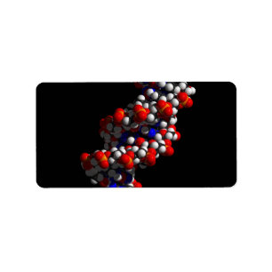 DNA-Doppelhelix-Modell Adressaufkleber