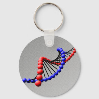 DNA - Doppelhelix-Schlüsselanhänger Schlüsselanhänger