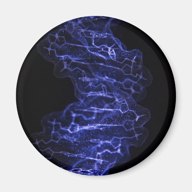 DNA Double Helix Kühlschrankmagnet (Vorne)
