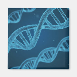 DNA Double Helix Magnet