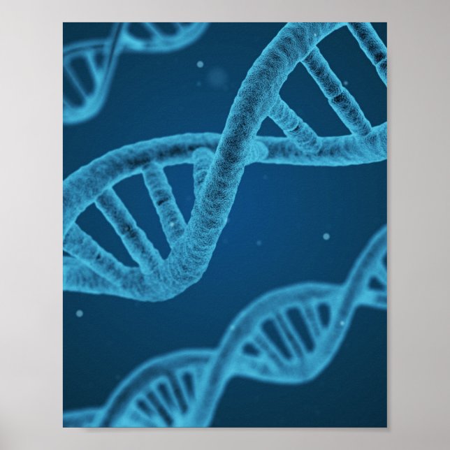 DNA Double Helix Poster (Vorne)