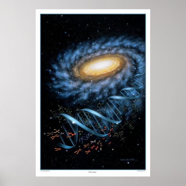 DNA Galaxy Print Poster (Vorne)