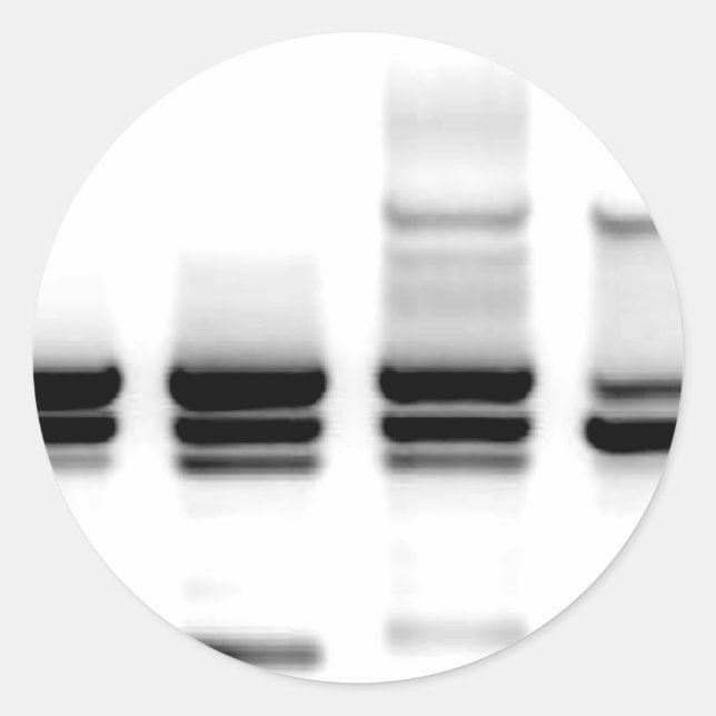 DNA Gel Runder Aufkleber (Vorderseite)