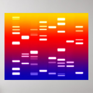 DNA Genetic Code Rainbow Poster