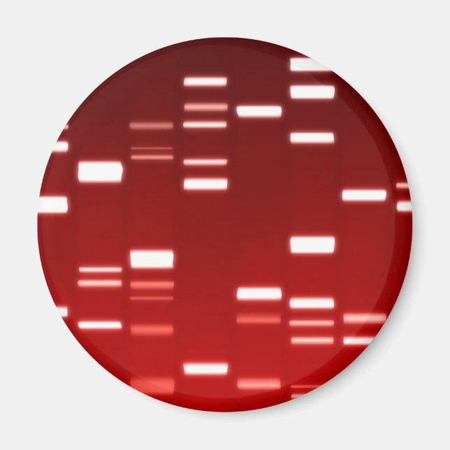DNA Genetic Code Red Magnet (Vorne)