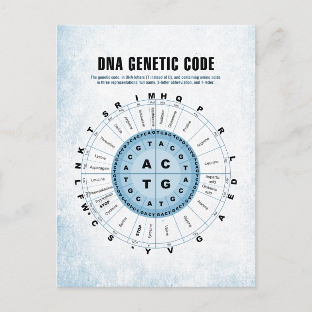DNA Genetische Codetabelle Postkarte (Vorderseite)