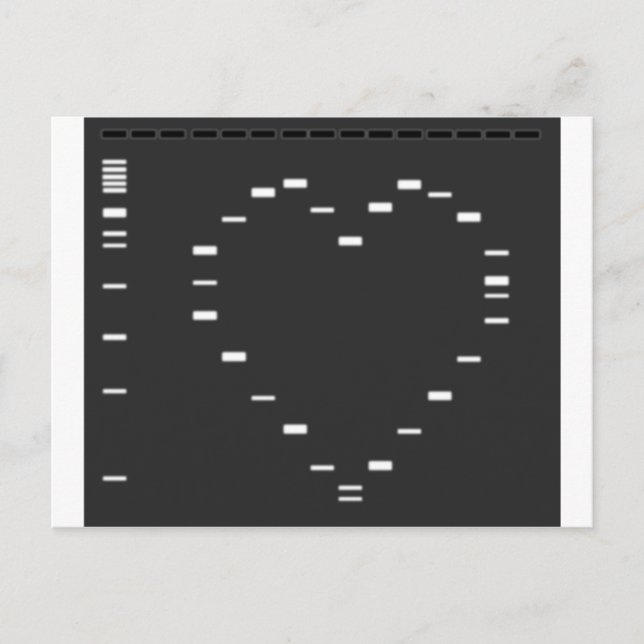 DNA-Herz auf Agarose-Gel Postkarte (Vorderseite)