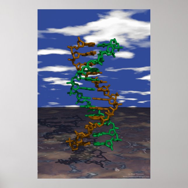DNA im Freien Poster (Vorne)
