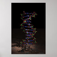 DNA im Spotlight
