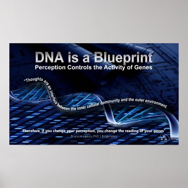 DNA ist ein Blueprint-Poster Poster (Vorne)