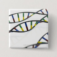 DNA-Moleküle (Desoxyribonukleinsäure).
