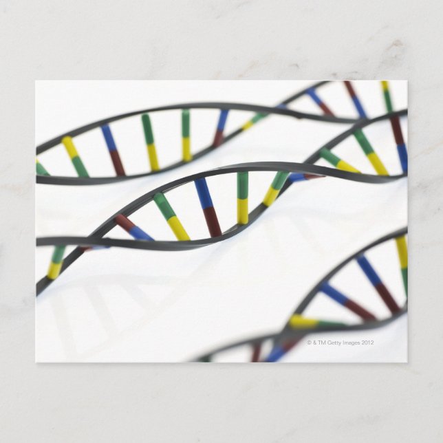 DNA-Moleküle (Desoxyribonukleinsäure). Postkarte (Vorderseite)