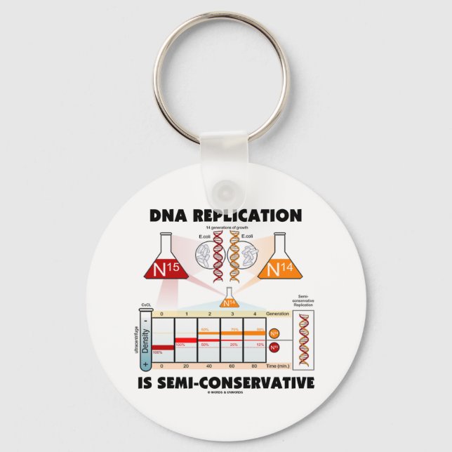 DNA-Replikation ist semikonservativ Schlüsselanhänger (Vorderseite)