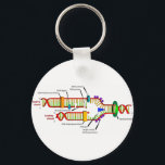 DNA-Replikation Schlüsselanhänger<br><div class="desc">DNA-Replikation</div>