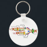 DNA-Replikation Schlüsselanhänger<br><div class="desc">DNA-Replikation</div>