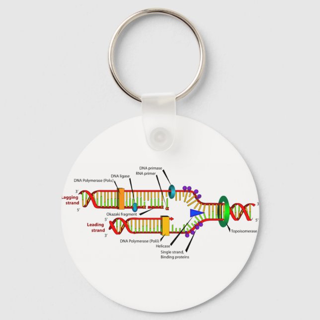 DNA-Replikation Schlüsselanhänger (Vorderseite)