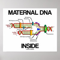 DNA-Replikation von Späßen in der Muttersubstanz