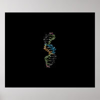 DNA-Strand