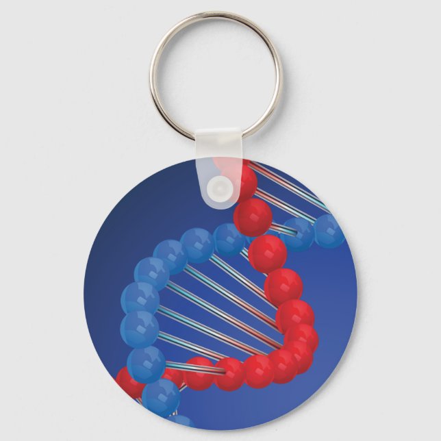 DNA-Strand-Schlüsselanhänger Schlüsselanhänger (Vorderseite)