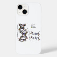 DNA-Struktur Deoxyribonukleinsäure Basendiagramm