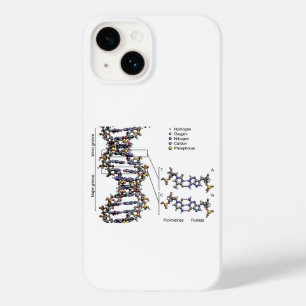 DNA-Struktur Deoxyribonukleinsäure Basendiagramm Case-Mate iPhone 14 Hülle