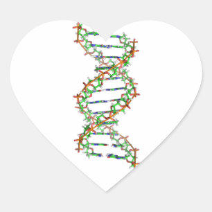 DNA - Wissenschaft/Wissenschaftler/Biologie Herz-Aufkleber