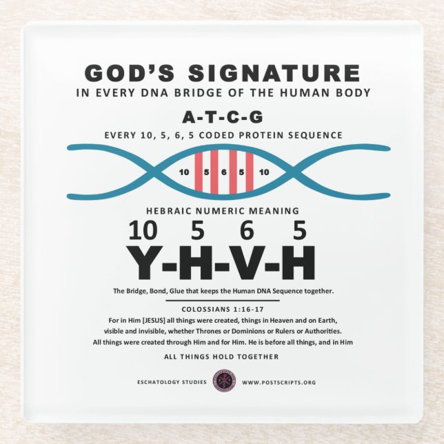 DNA-YHVH-Code Glasuntersetzer (Vorderseite)