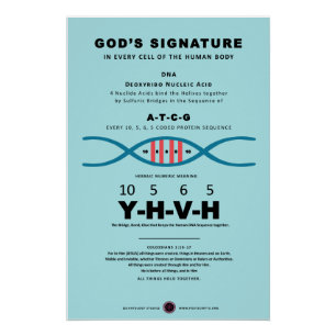 DNA-YHVH-Code Poster
